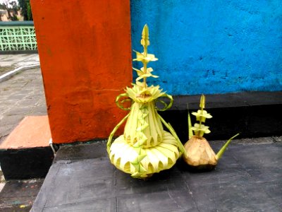 Kembar mayang Pj DSC 0417
