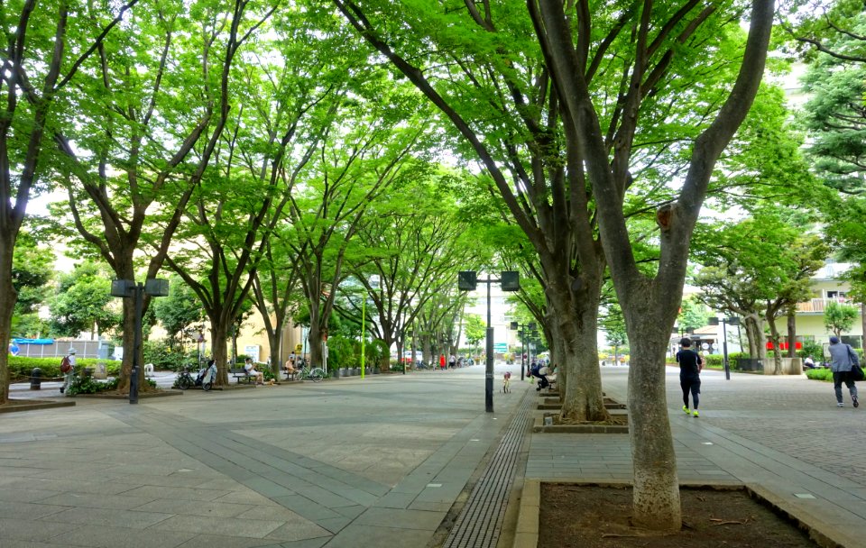 Keyaki Hiroba - Setagya, Tokyo, Japan - DSC09662