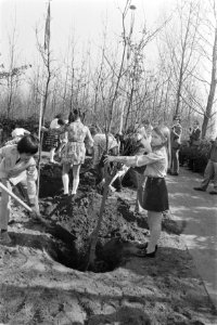 Kinderen van de International School of Amsterdam planten bomen op de Floriade, Bestanddeelnr 925-4770