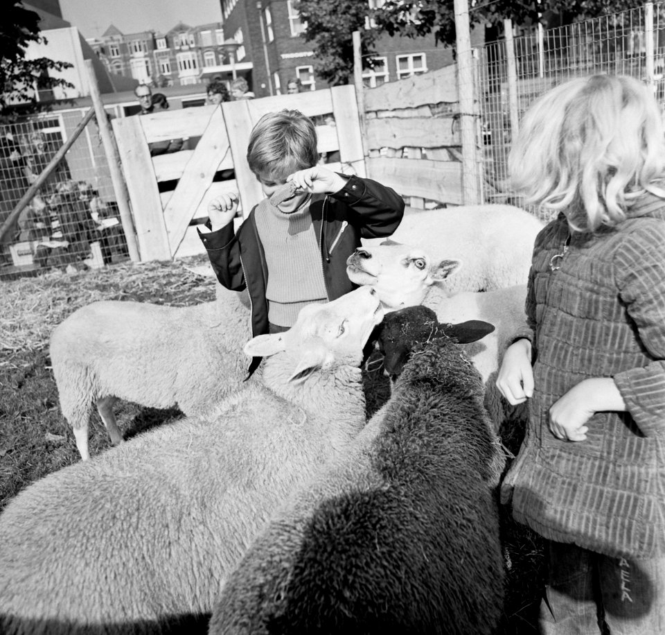 Kinderen tekenen dieren op Museumplein te Amsterdam i.v.m werelddierendag, Bestanddeelnr 926-7271