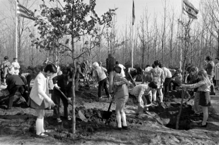 Kinderen van de International School of Amsterdam planten bomen op de Floriade, Bestanddeelnr 925-4767