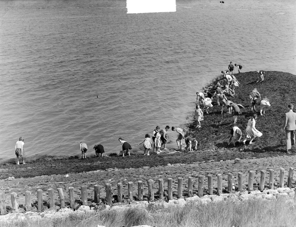Kinderen zoeken naar coloradokevers op het strand van Hoedekenskerke (Zeeland), Bestanddeelnr 903-9785