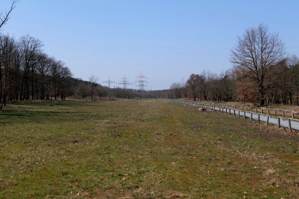 Kelsterbacher Wald 2020-03-27 03