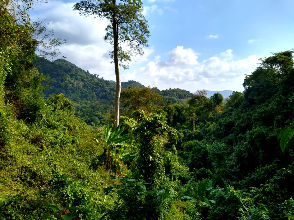Kep National Park 6