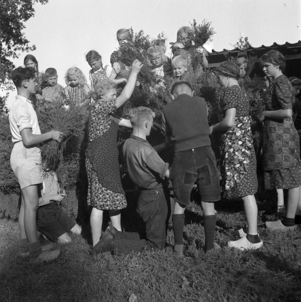Kinderen en vrouwen bezig om iets te versieren met struikhei, Bestanddeelnr 900-7385