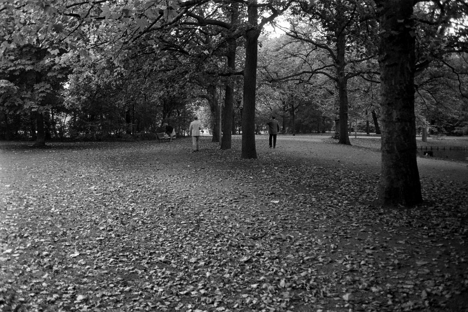 Kinderen en oude mensen in Vondelpark, Amsterdam in herfstzon, Bestanddeelnr 924-9993