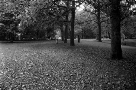 Kinderen en oude mensen in Vondelpark, Amsterdam in herfstzon, Bestanddeelnr 924-9993