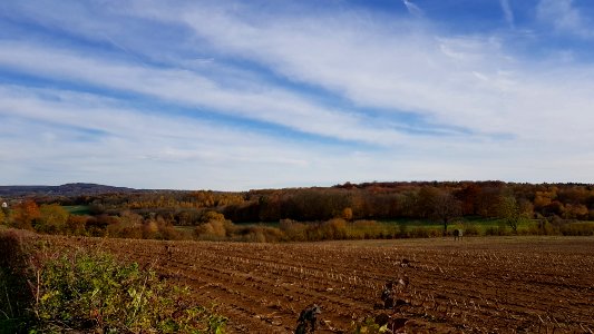 Kelmis-Lontzenerbachtal (9)