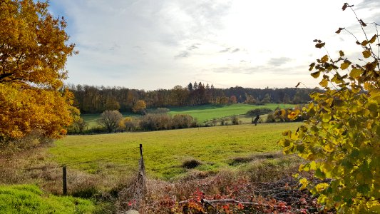 Kelmis-Lontzenerbachtal (5)