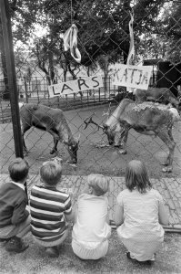 Kinderen bekijken de rendieren, Bestanddeelnr 921-6793