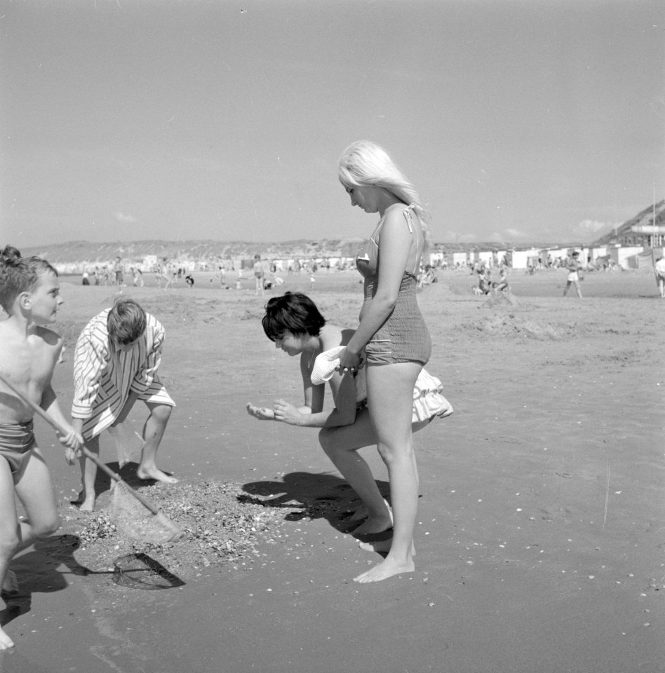 Kinderen aan het schelpenvissen op het strand, Bestanddeelnr 254-4408