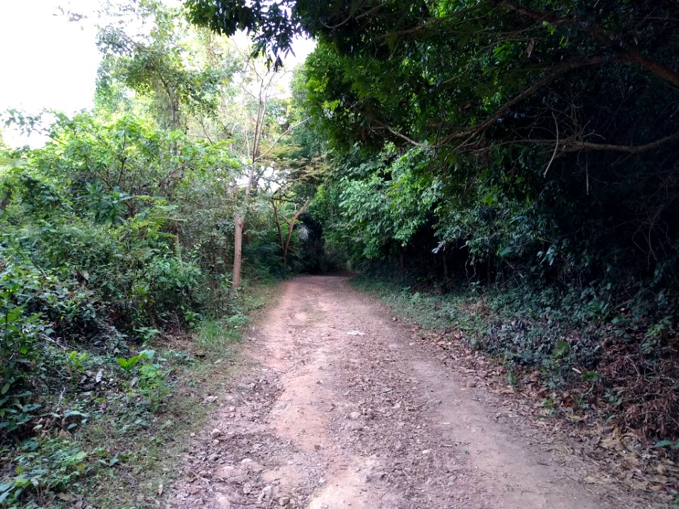 Kep National Park 1