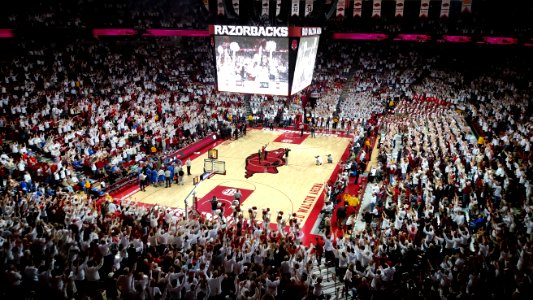Kentucky at Arkansas basketball 2016, 002
