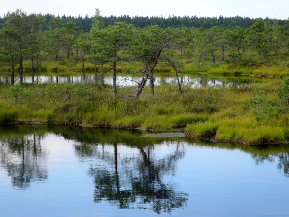 Kemeri Nationalpark 1
