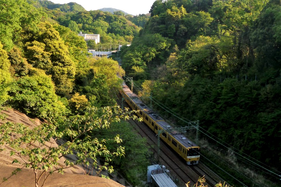 Keikyu 1000series 1064 Yellow Happy Train