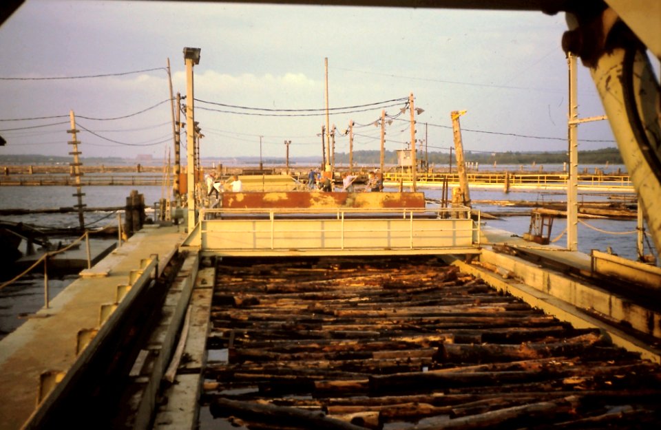 Kemijokisuun erottelu Kemi 1989 01
