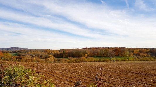 Kelmis-Lontzenerbachtal (8)