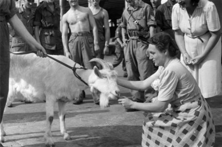 Kees de Bok, mascotte van de Prins Bernhard Kapel, krijgt van de dames van de We, Bestanddeelnr 91-4-1