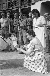 Kees de Bok, mascotte van de Prins Bernhard Kapel, krijgt van de dames van de We, Bestanddeelnr 91-4-2
