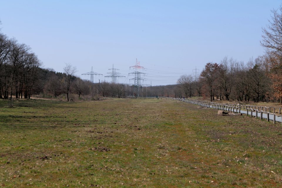 Kelsterbacher Wald 2020-03-27 04