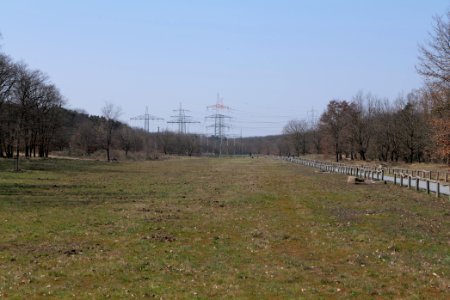 Kelsterbacher Wald 2020-03-27 04