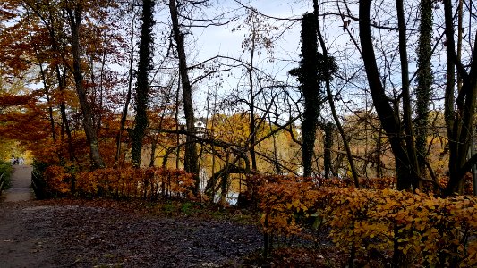 Kelmis-Casinoweiher (33)