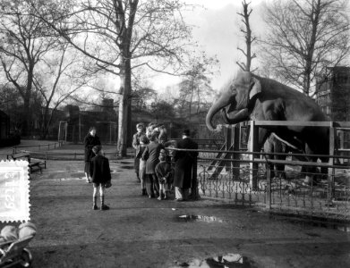 Kerstbezoek in Artis Amsterdam, Bestanddeelnr 906-2112