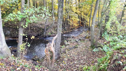 Kelmis-Casinoweiher (23)