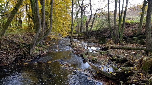 Kelmis-Casinoweiher (25)
