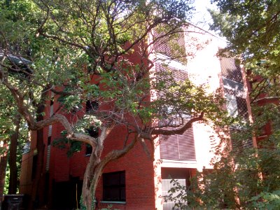 Keck-Gottschalk-Keck Apartments