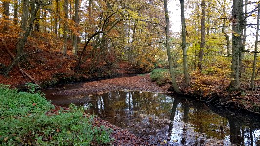 Kelmis-Casinoweiher (28)