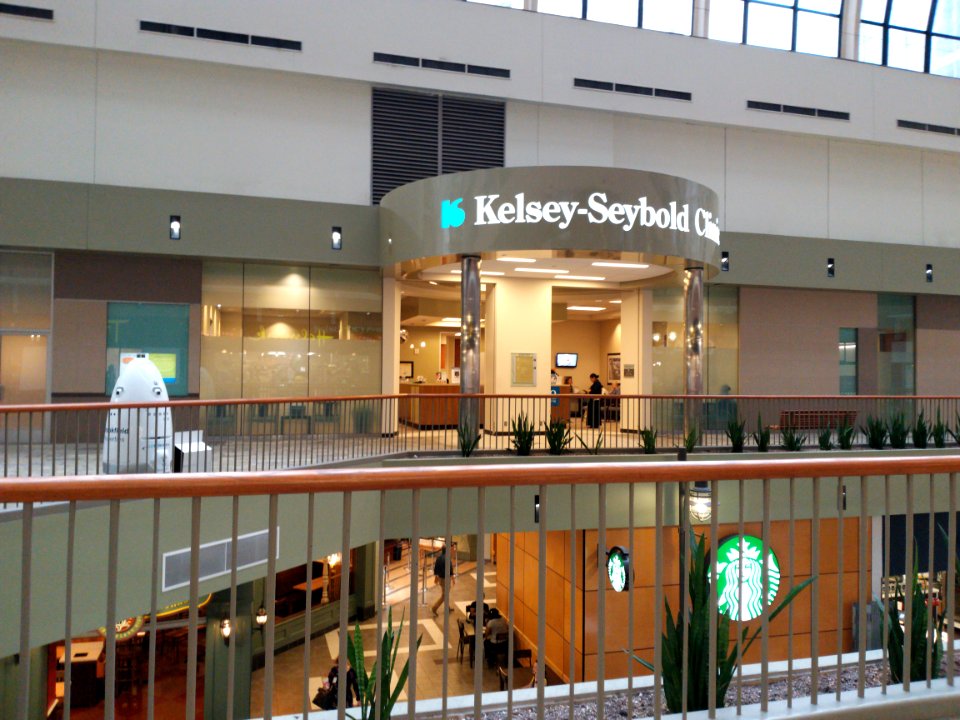 KelseySeyboldDowntown