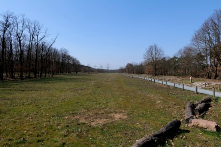 Kelsterbacher Wald 2020-03-27 02