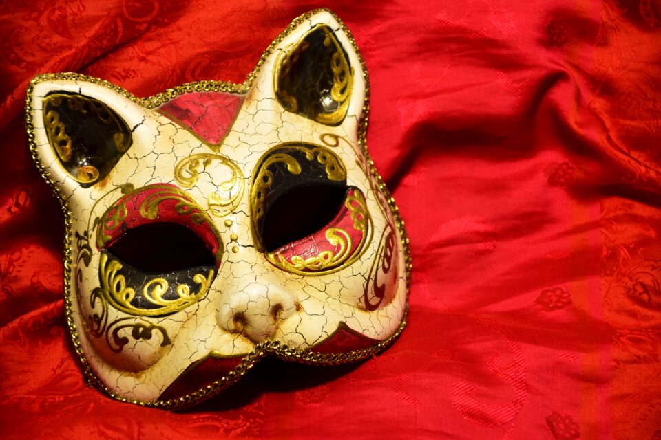Color cat mask larva