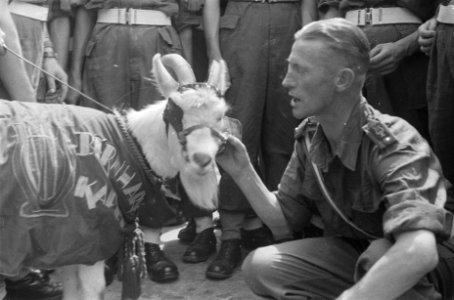 Kees de Bok en kapelmeester luitenant De Graaf, Bestanddeelnr 92-1-5