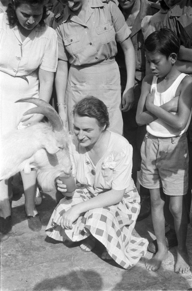 Kees de Bok, mascotte van de Prins Bernhard Kapel, krijgt van de dames van de We, Bestanddeelnr 91-4-4