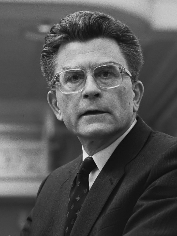 Kees van Dijk (1985)