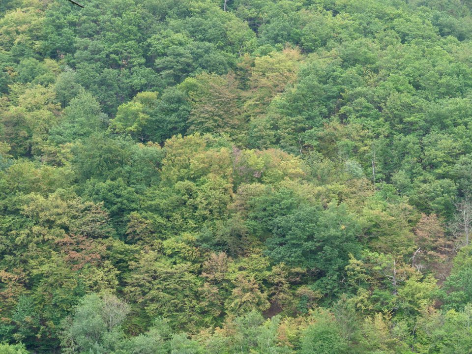 Kermeter from Rurberg in September 2019 03