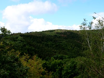 Kermeter from Urftdam viewpoint south in September 2019 01