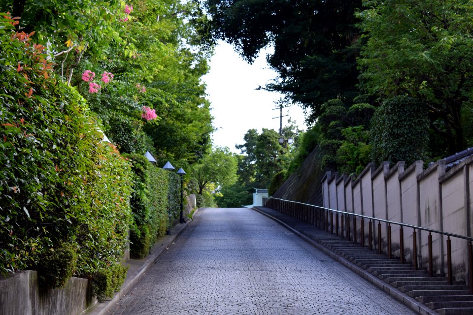 Kensoji stairs