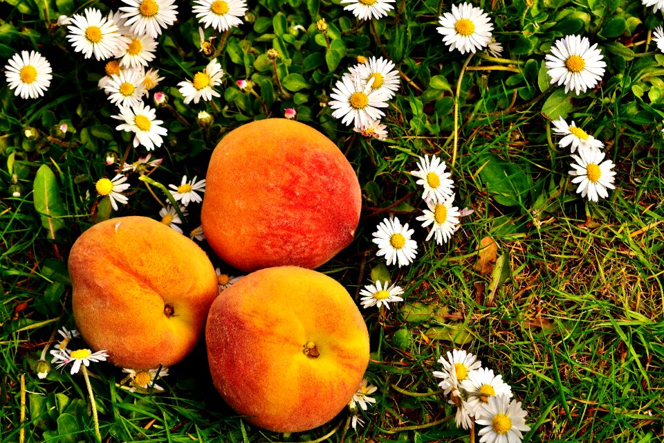 Eat fruits delicious