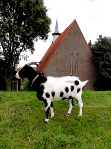 Kerk Uitdam2
