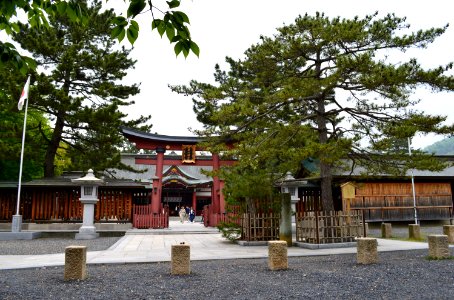 Kehi-jingu hataageno-matsu