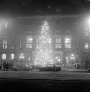 Kerstboom uit Oslo fonkelend voor het Rotterdamse stadhuis, Bestanddeelnr 918-5675