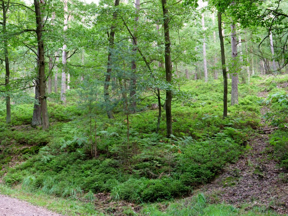 Kermeter near Adamsberg in September 2019 12