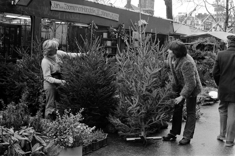 Kerstbomen weer te koop, kerstbomen op de Amsterdamse Bloemsingel, Bestanddeelnr 931-1902