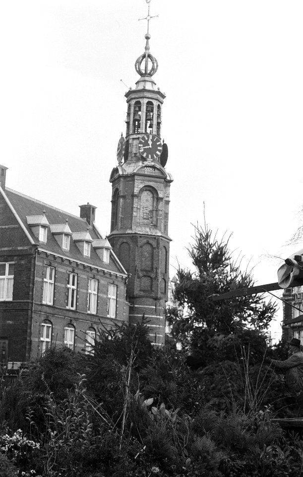 Kerstbomen in Amsterdam, Bestanddeelnr 913-2588