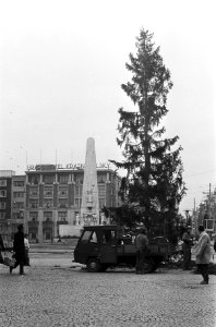 Kerstboom geplaatst op Dam Amsterdam, Bestanddeelnr 925-2112