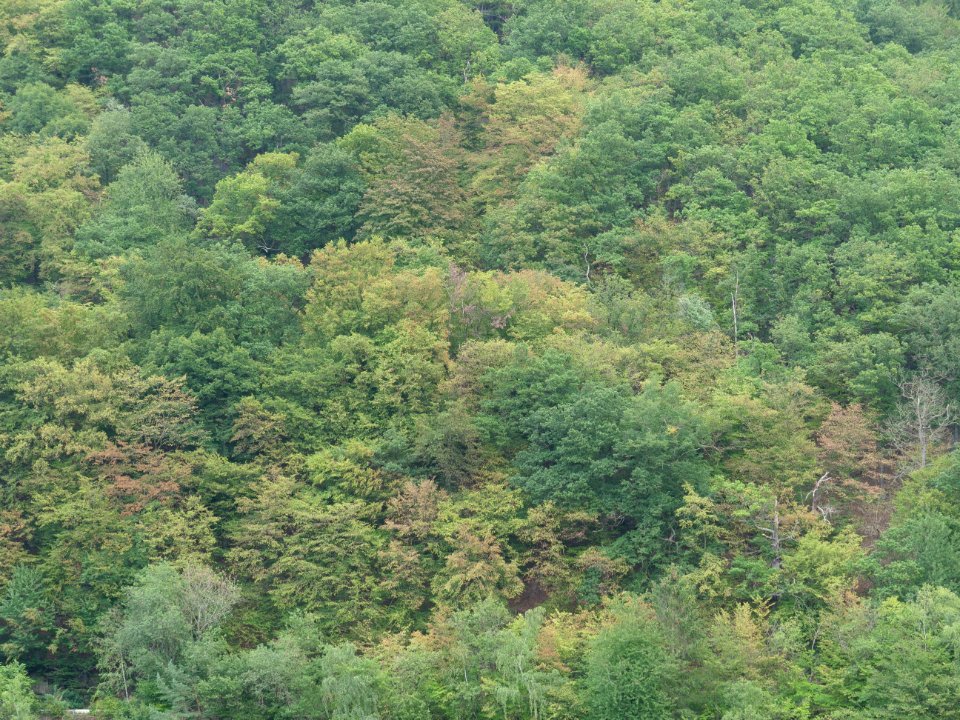 Kermeter from Rurberg in September 2019 02