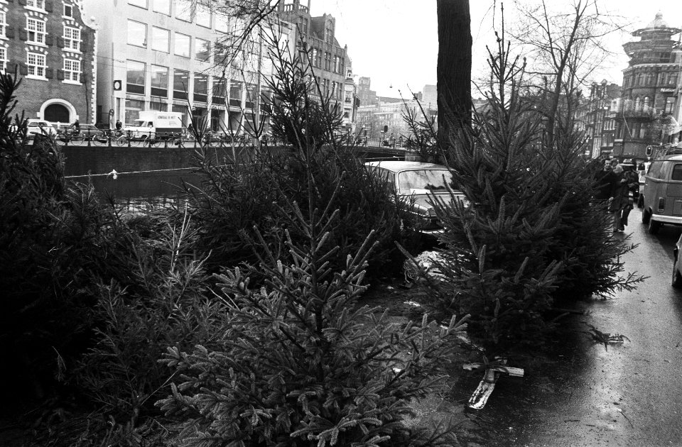Kerstbomen op Bloem Singel te Amsterdam, Bestanddeelnr 927-6541